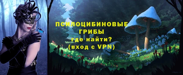 винт Бугульма